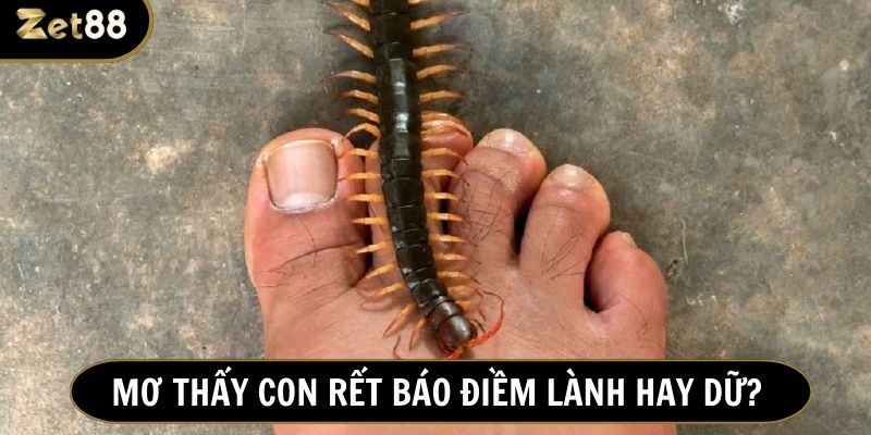 Tuỳ vào từng ngữ cảnh, cảm xúc trong mơ để tìm ra thông điệp từ tiềm thức