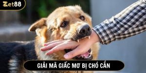 Mơ chó cắn đánh con gì