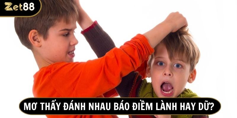 Mơ thấy đánh nhau không hẳn là điềm xấu nên bạn không cần quá lo lắng