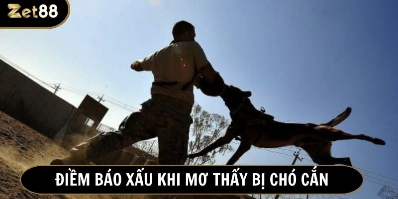 Mơ chó cắn đánh con gì để giải vận đen đeo bám