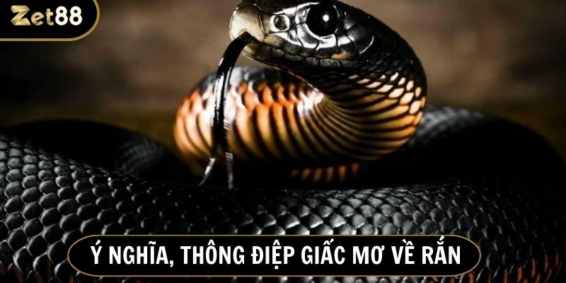 Chiêm bao thấy rắn khổng lồ là điềm báo tốt về tài lộc