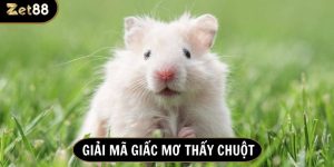 Nằm mơ thấy chuột con đánh số gì