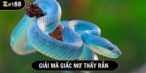 nằm mơ thấy rắn