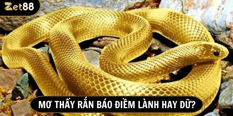 Mơ thấy rắn thường đại diện cho sự tái sinh, bắt đầu hành trình mới