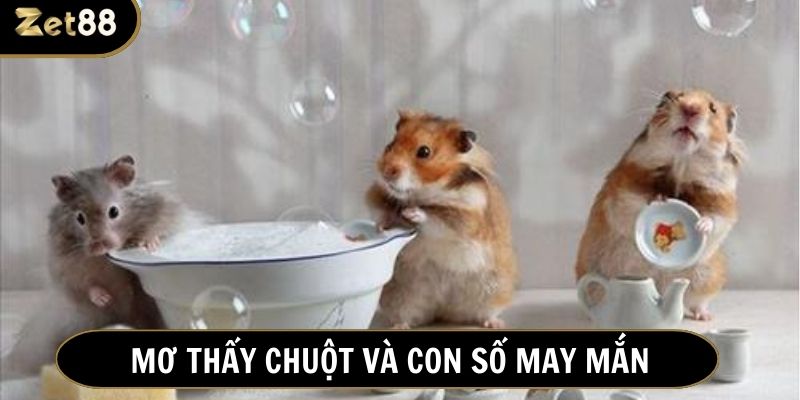 Những con số liên quan đến giấc mơ thấy chuột dành cho lô thủ